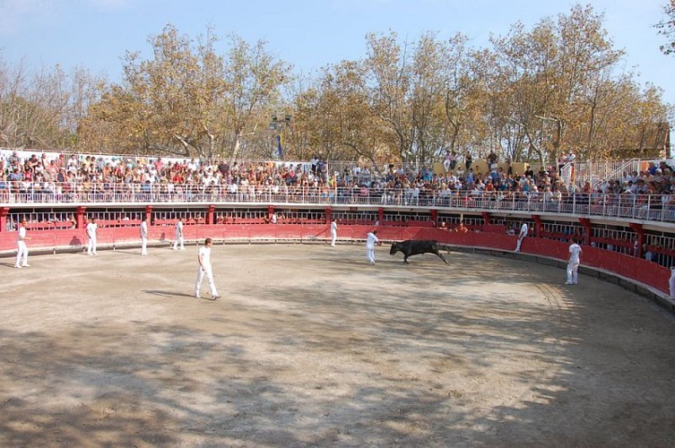 Arènes de Salin-de-Giraud