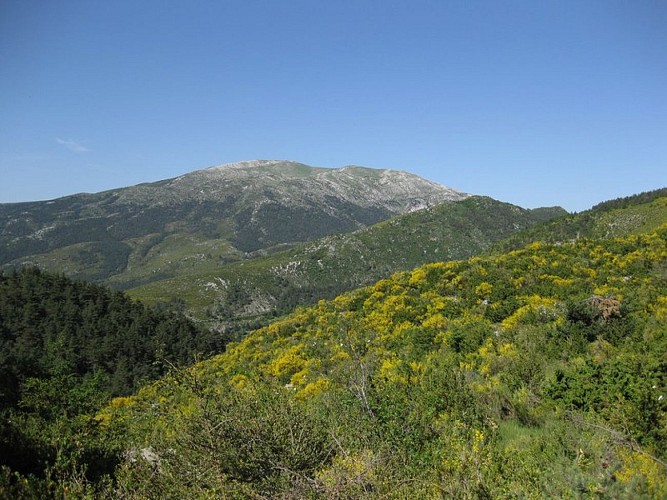 Le massif du Teillon