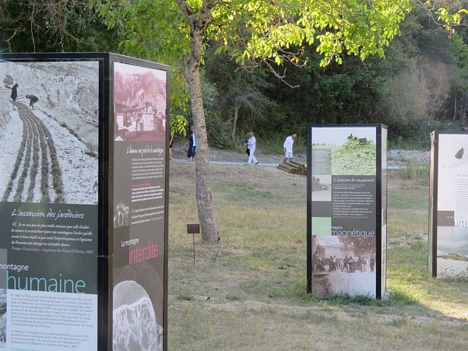 Exposition au jardin Singulier