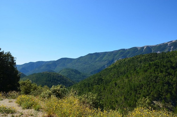 La face nord du Mont Ventoux