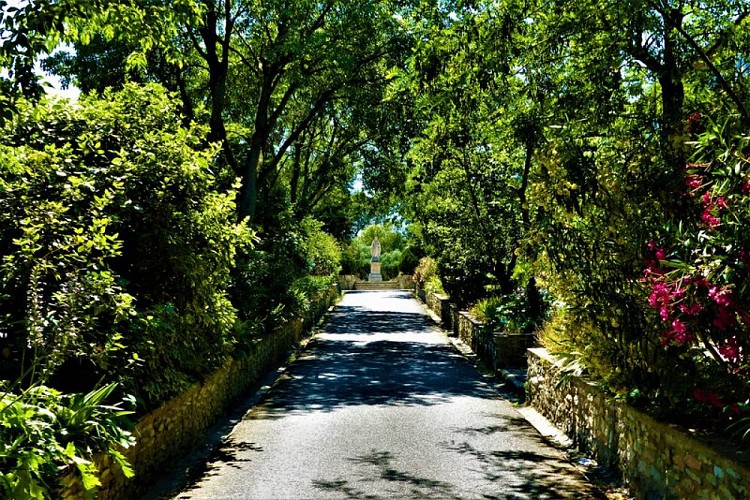 Allée principale de la cours de l'abbaye