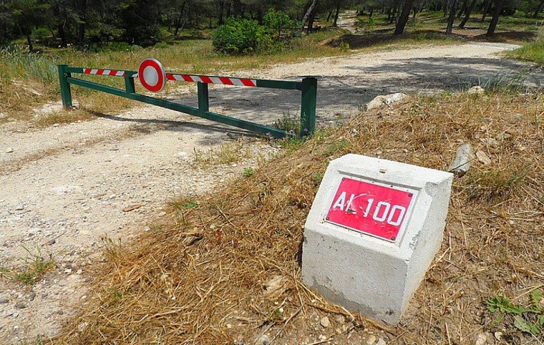 Début de la piste DFCI