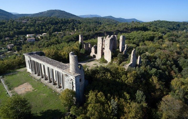 Les ruines du château
