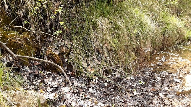 Résurgence sur le sentier de Piégros