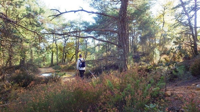 Sur le GR6® et GRP® ''Tour des ocres du Luberon'' à La Bruyère