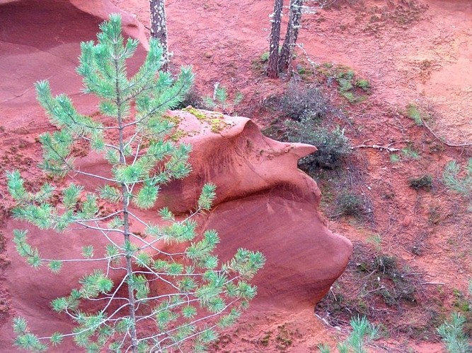 Front de taille ocrier érodé