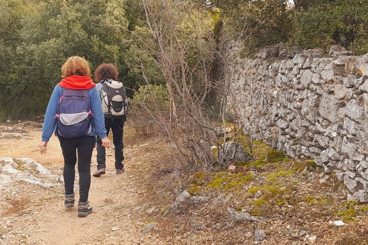 Mur en pierre sèche