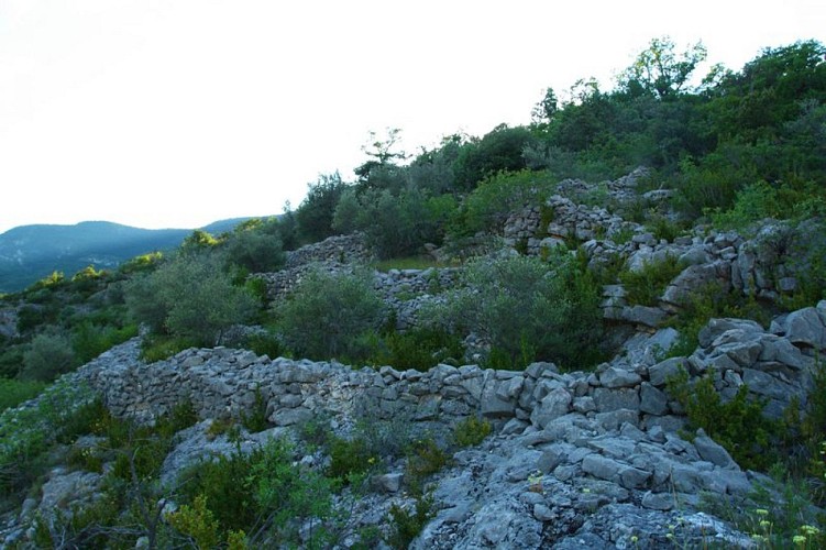 Restanques à Villeperdrix