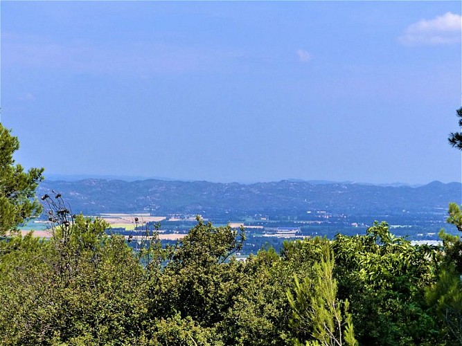 Vue sur la Montagnette