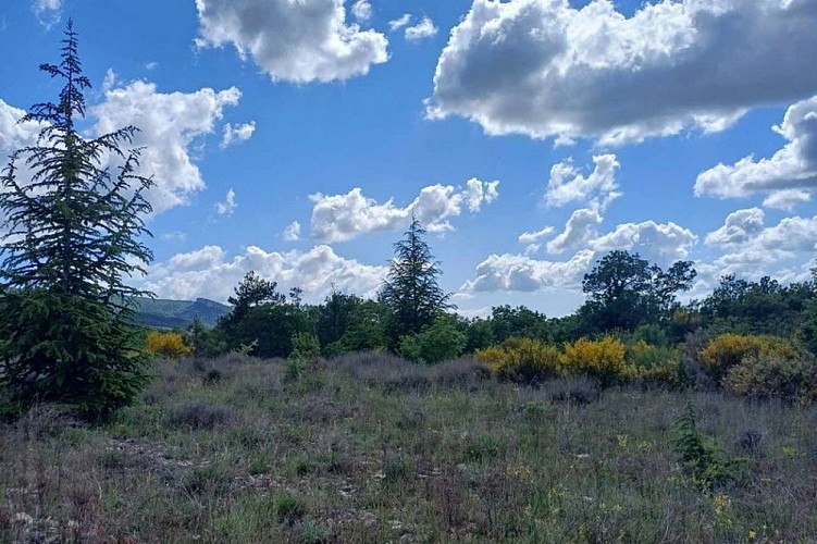 Milieux ouverts du Grand Luberon