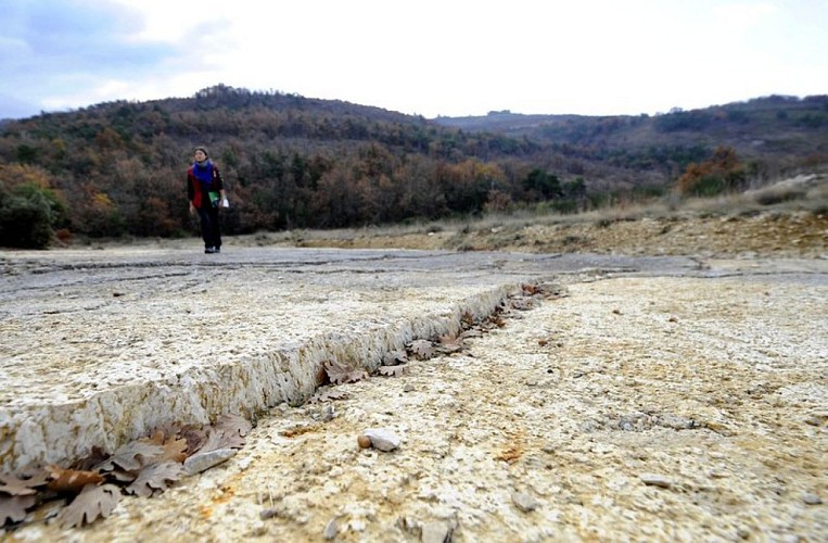 Dalle à empreintes de Viens