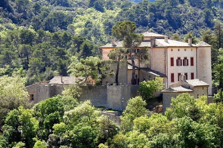 Le château de Vauvenargues