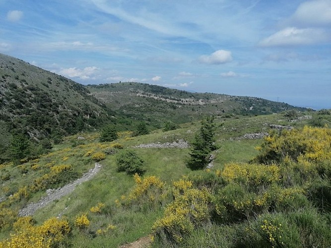 Ruines et restantes du Jas du Bourré