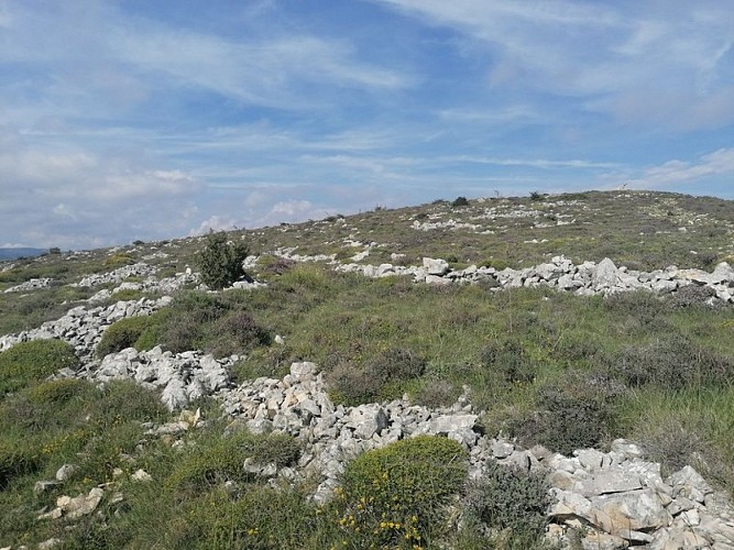 Ruines et restantes du Jas du Bourré