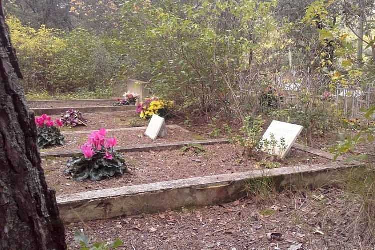 Cimetière Vaudois des Borrys