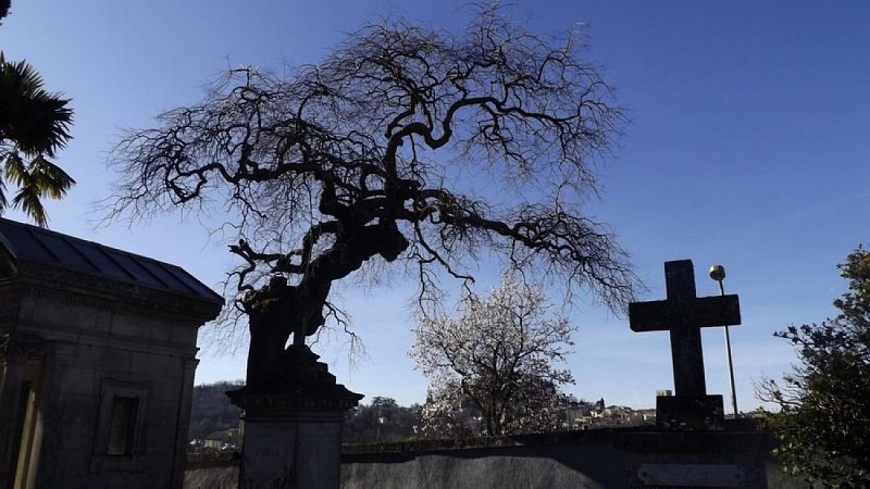 Vue depuis le cimetière