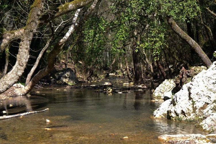 Le Gapeau au départ de l'itinéraire