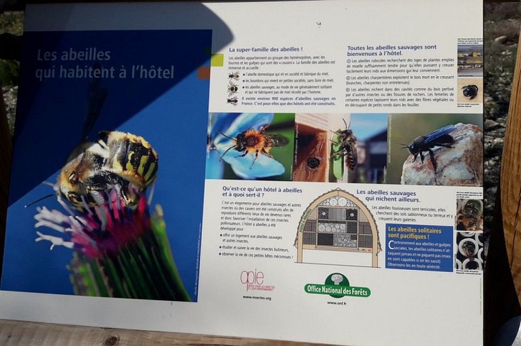 Sentier de découverte du Trou du Rat