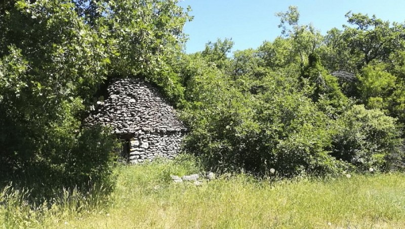 Cabanon à l'orée du bois