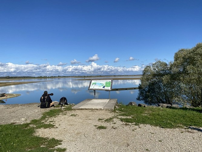 Observation des oiseaux - Lac du Der