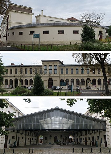 L'école Vétérinaire 