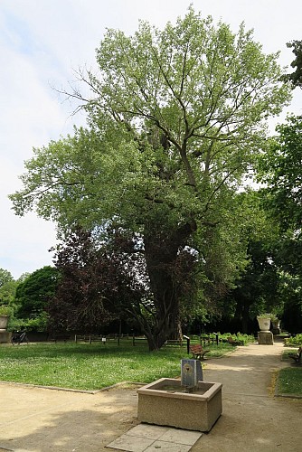 Le square Henri François