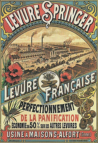 L'usine Springer 