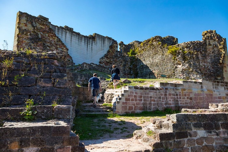 Parc et vestiges du Château