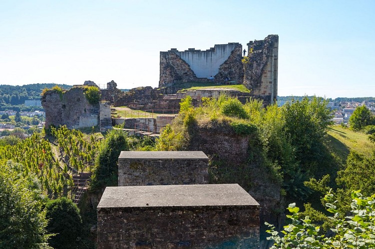 Parc et vestiges du Château