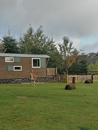 Roulotte Kanavu au coeur des animaux (jusqu'à 2 adultes et 2 enfants)