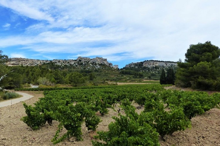 Vignobles AOP "Les Baux-de-Provence"