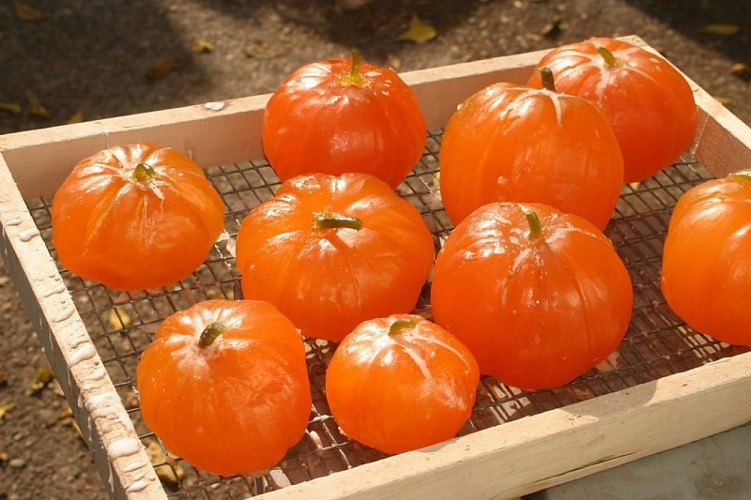 Fruits confits d'Apt