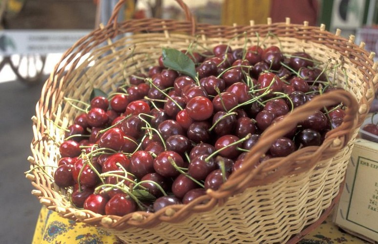Panier de cerises à croquer !