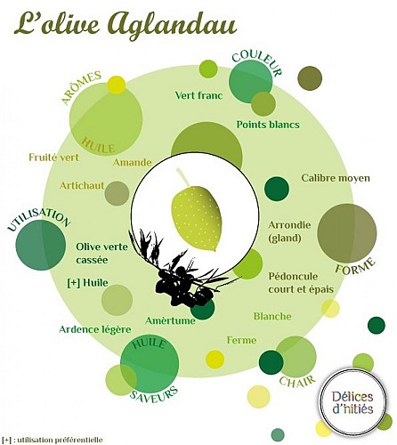 Vive l'olive verte !