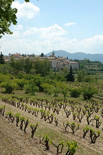 Vignoble venterolais