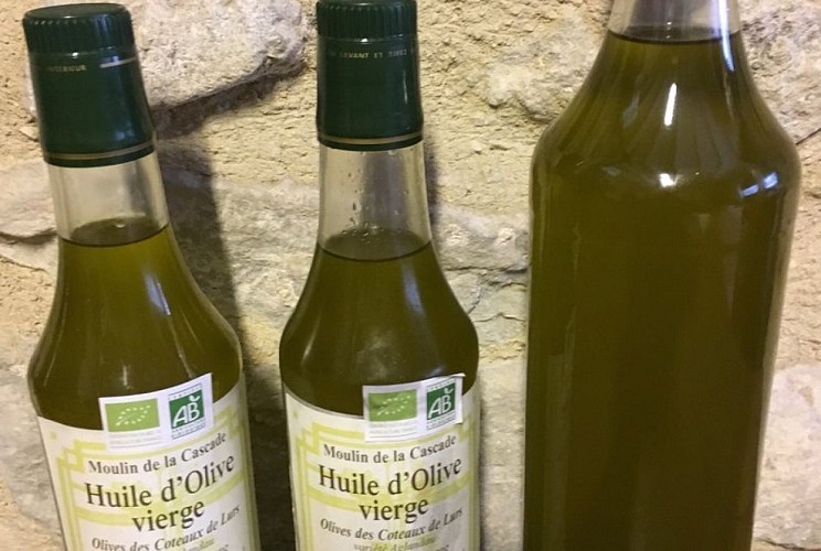 Huile d'olive Aglandau des coteaux de Lurs