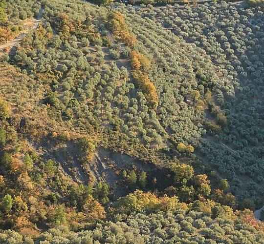 image du object