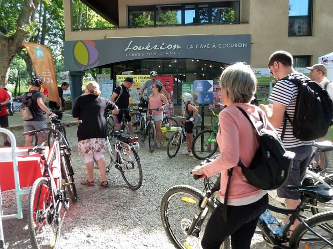 Cave de Louérion à Cucuron