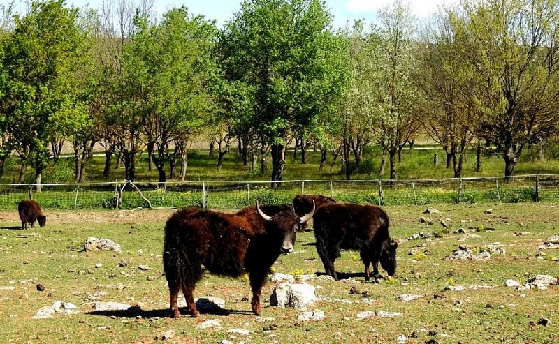 La ferme pédagogique