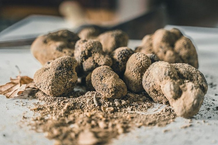 Truffes