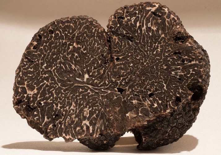 Truffe