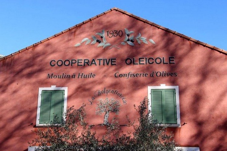 Coopérative oléicole