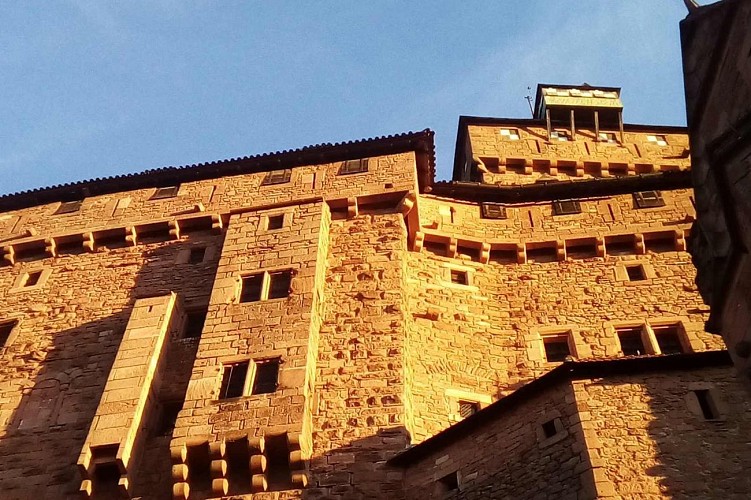 Vue sur le logis seigneurial, façade sud