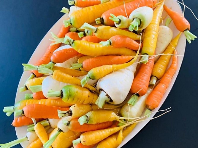 Chambre d'hôtes Les Moutis