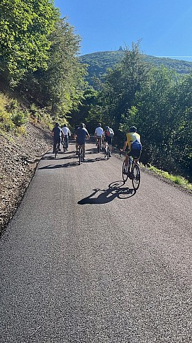 Mountain bikes rental shop - E-bike oxygen