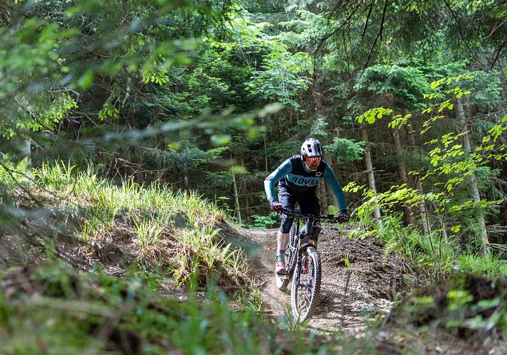 Verhuur van mountainbikes - E-bike oxygen