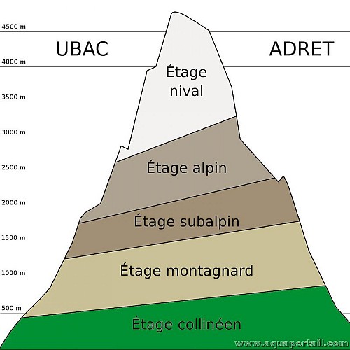Zonage de montage : les différents étages