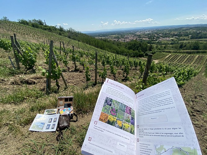 Enquête game à Champdieu : Meurtre dans le vignoble