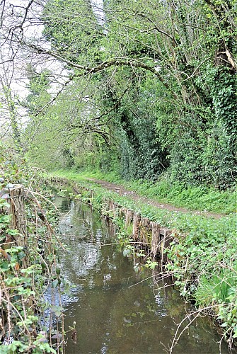 Soft path from Brassac to Bouissas via Saint Agnan