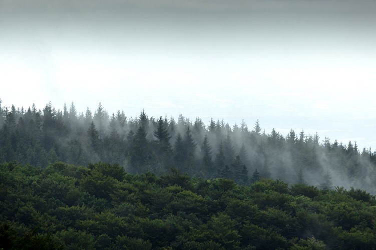 Office de Tourisme Terres d'Autan Montagne Noire - Bureau de Dourgne